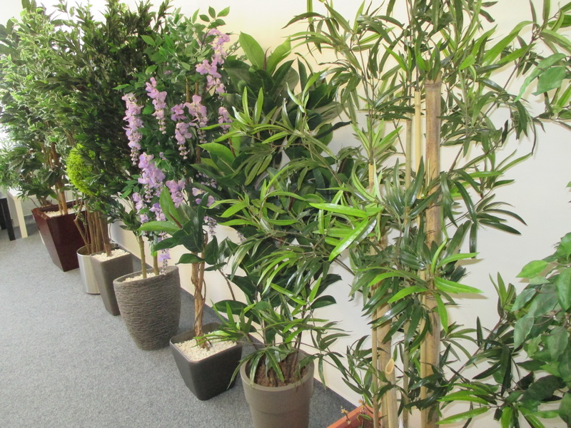 showroom umělé rostliny